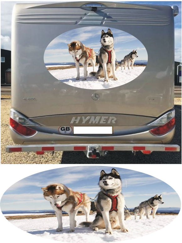 MH12 Husky snow dogs 1000mm graphics stickers campervan caravan horsebox motorhome