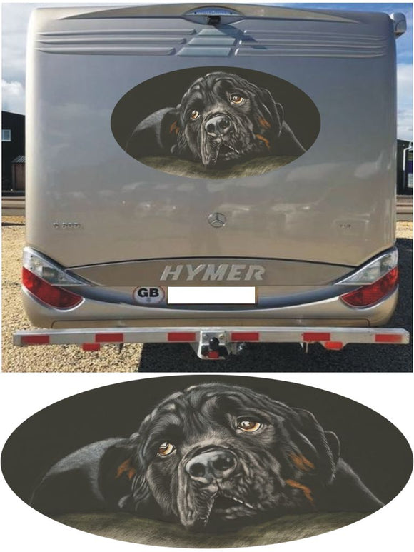 MH03 Black rottweiler 1000mm graphics stickers campervan caravan horsebox motorhome