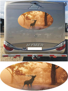 MH04 Fallow deer 1000mm graphics stickers campervan caravan horsebox motorhome