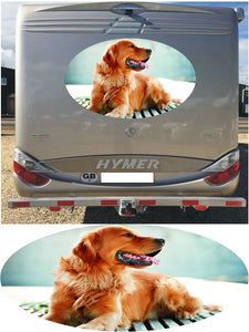 MH05 Golden Retriever 1000mm graphics stickers campervan caravan horsebox motorhome