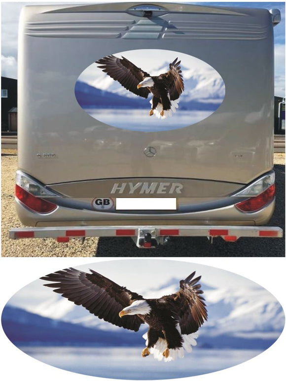 MH06 Bald Eagle 1000mm graphics stickers campervan caravan horsebox motorhome