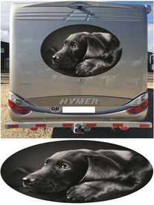 MH07 Black Labrador 1000mm graphics stickers campervan caravan horsebox motorhome