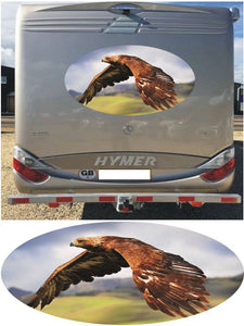 MH08 Eagle 1000mm graphics stickers campervan caravan horsebox motorhome