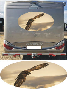 MH09 Eagle In Flight 1000mm graphics stickers campervan caravan horsebox motorhome